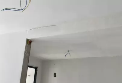 Imagem evolução
