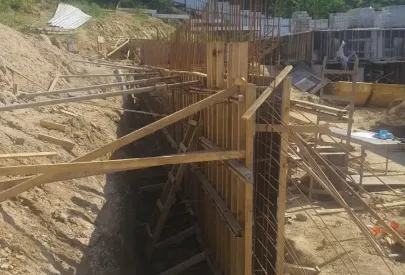 Imagem evolução