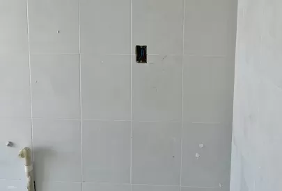 Imagem evolução