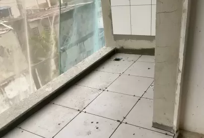 Imagem evolução