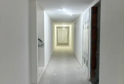 Imagem evolução