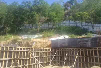 Imagem evolução