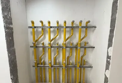 Imagem evolução