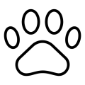 Espaço Pet