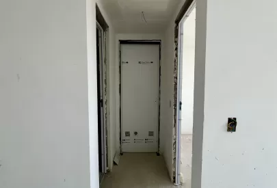 Imagem evolução