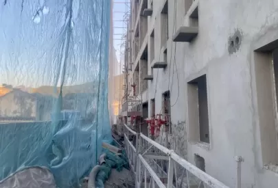 Imagem evolução