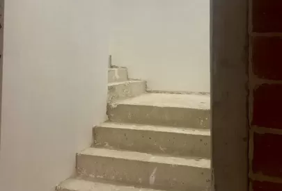 Imagem evolução
