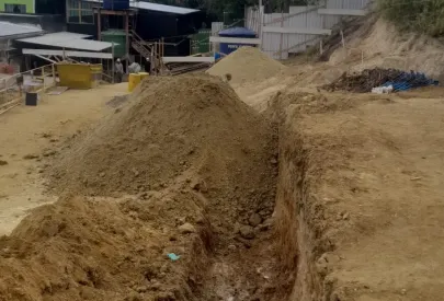 Imagem evolução