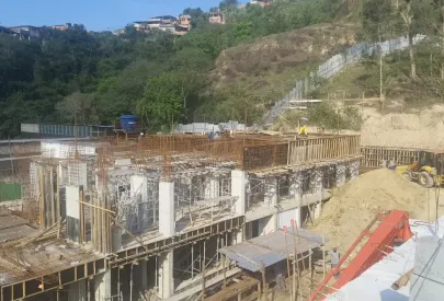 Imagem evolução