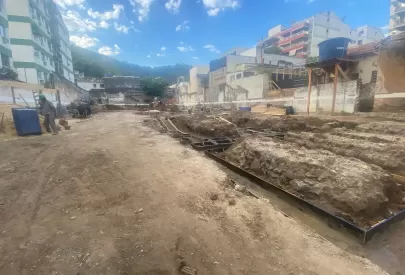 Imagem evolução