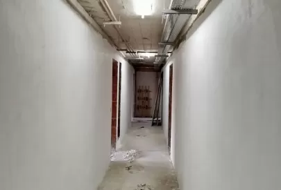 Imagem evolução