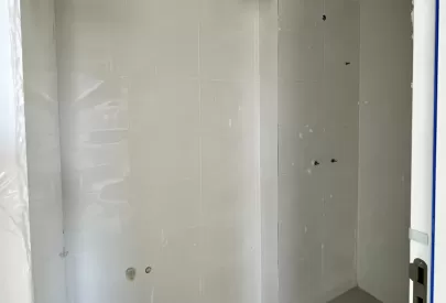 Imagem evolução