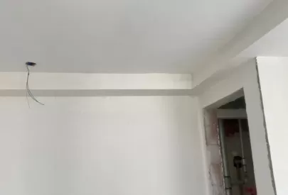 Imagem evolução