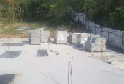 Imagem evolução