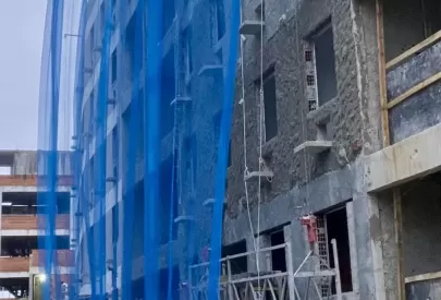 Imagem evolução